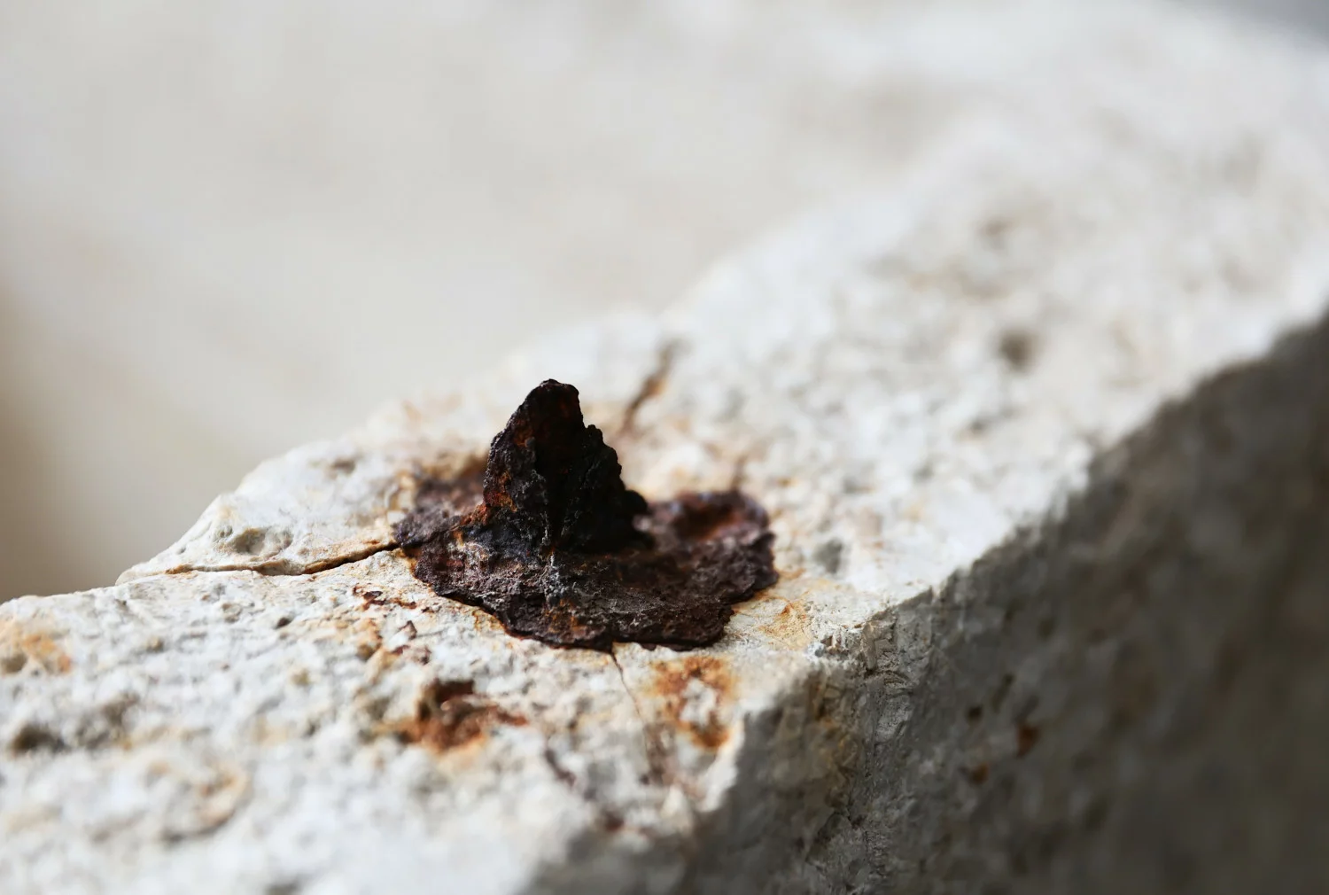 oude franse kalkstenen trog