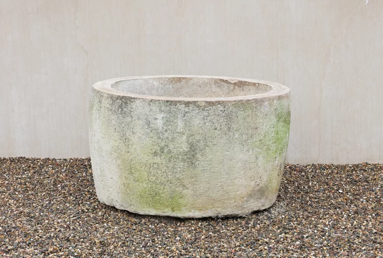 antieke planter