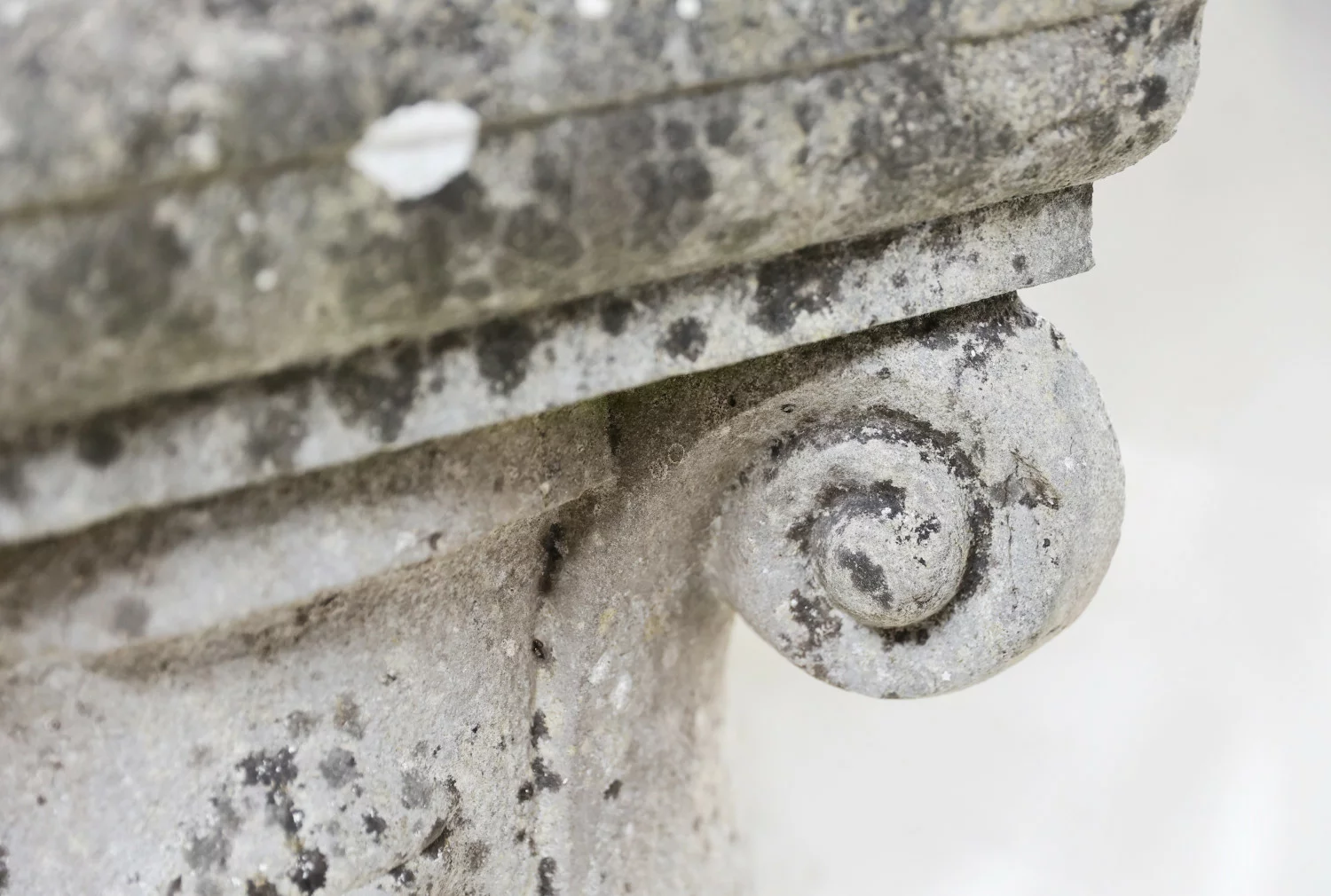 franse kalkstenen planter