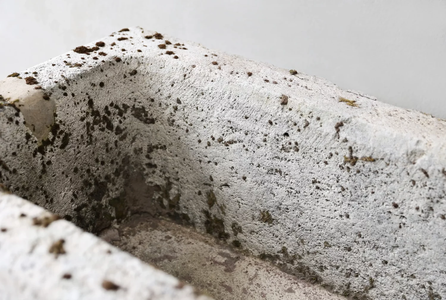 antieke franse kalkstenen trog