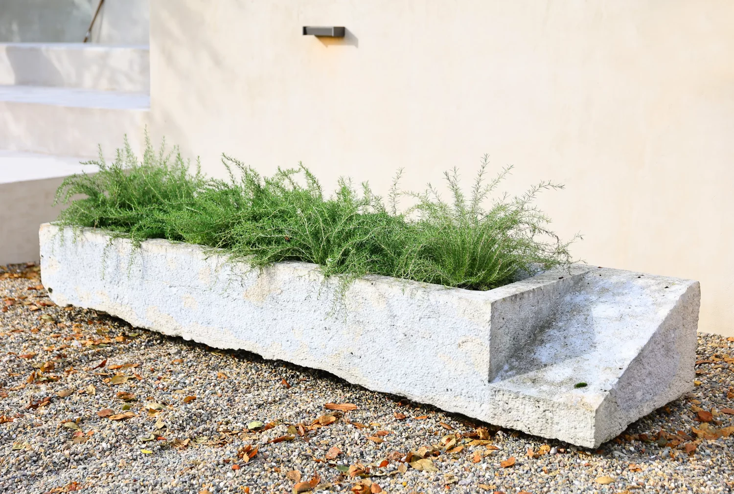 19th century trough