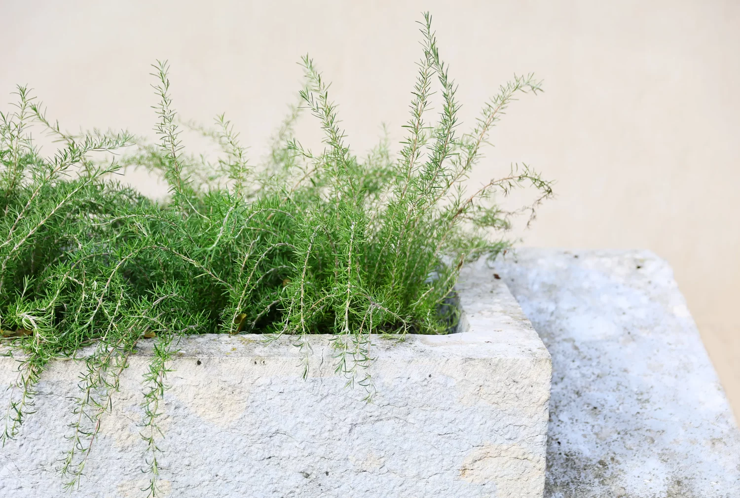 reclaimed building materials