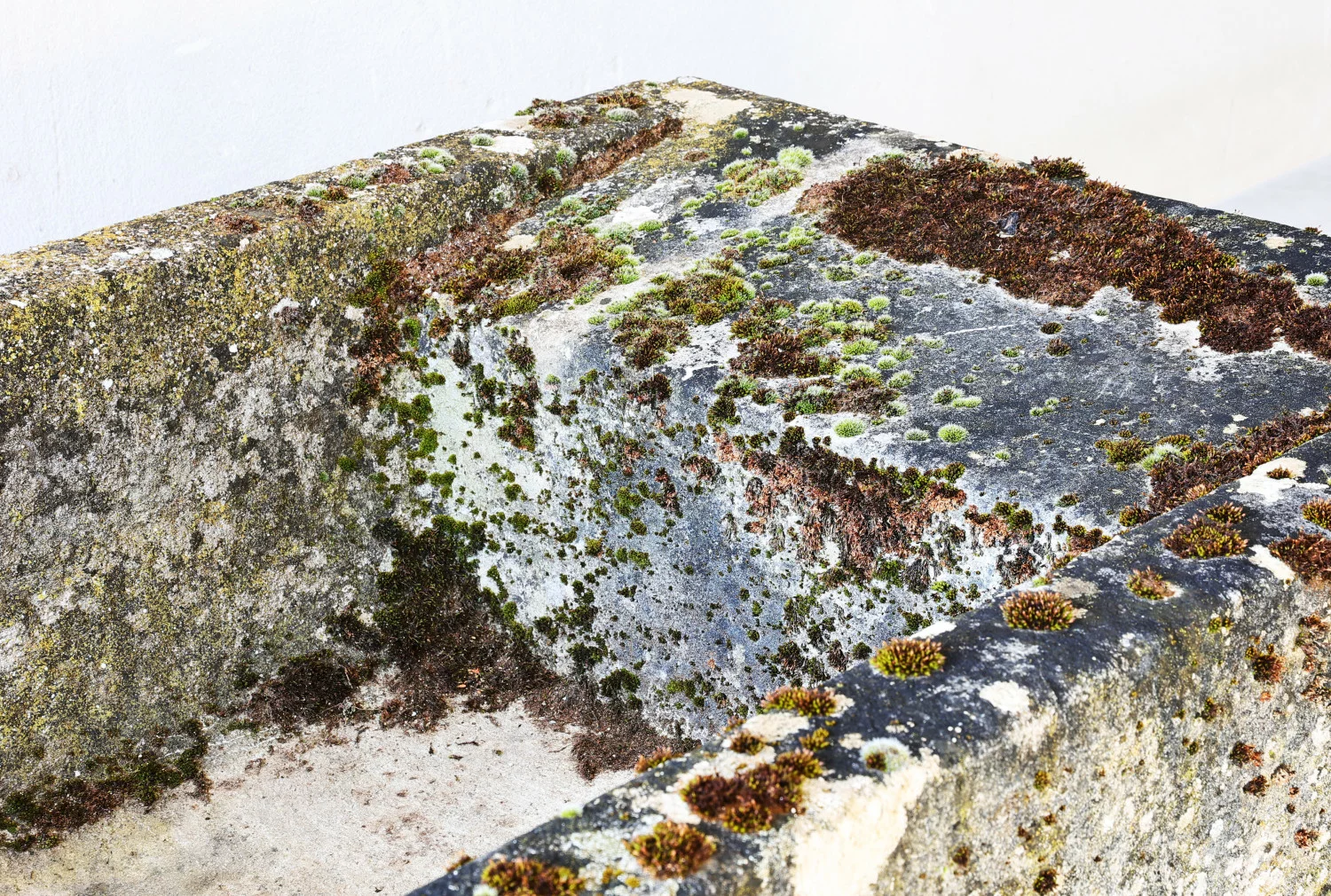 19e eeuwse franse kalkstenen trog